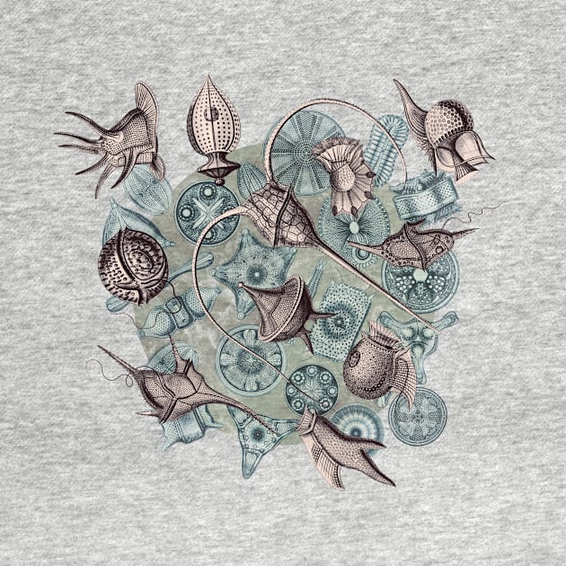 Ernst Haeckel Lavender Grey Peridinea on Cerulean  Diatoms by Scientistudio